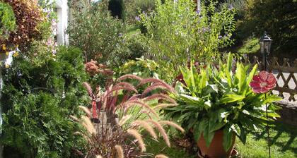 Doppelzimmer mit WC und Dusche (Waldseite) Das Kleine FEINE - Gästehaus