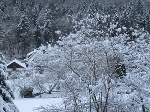 Unclassified image, 4 of 39, button