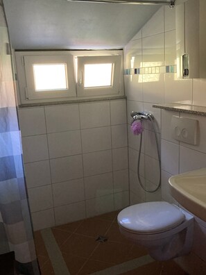 Shower, towels, soap, toilet paper