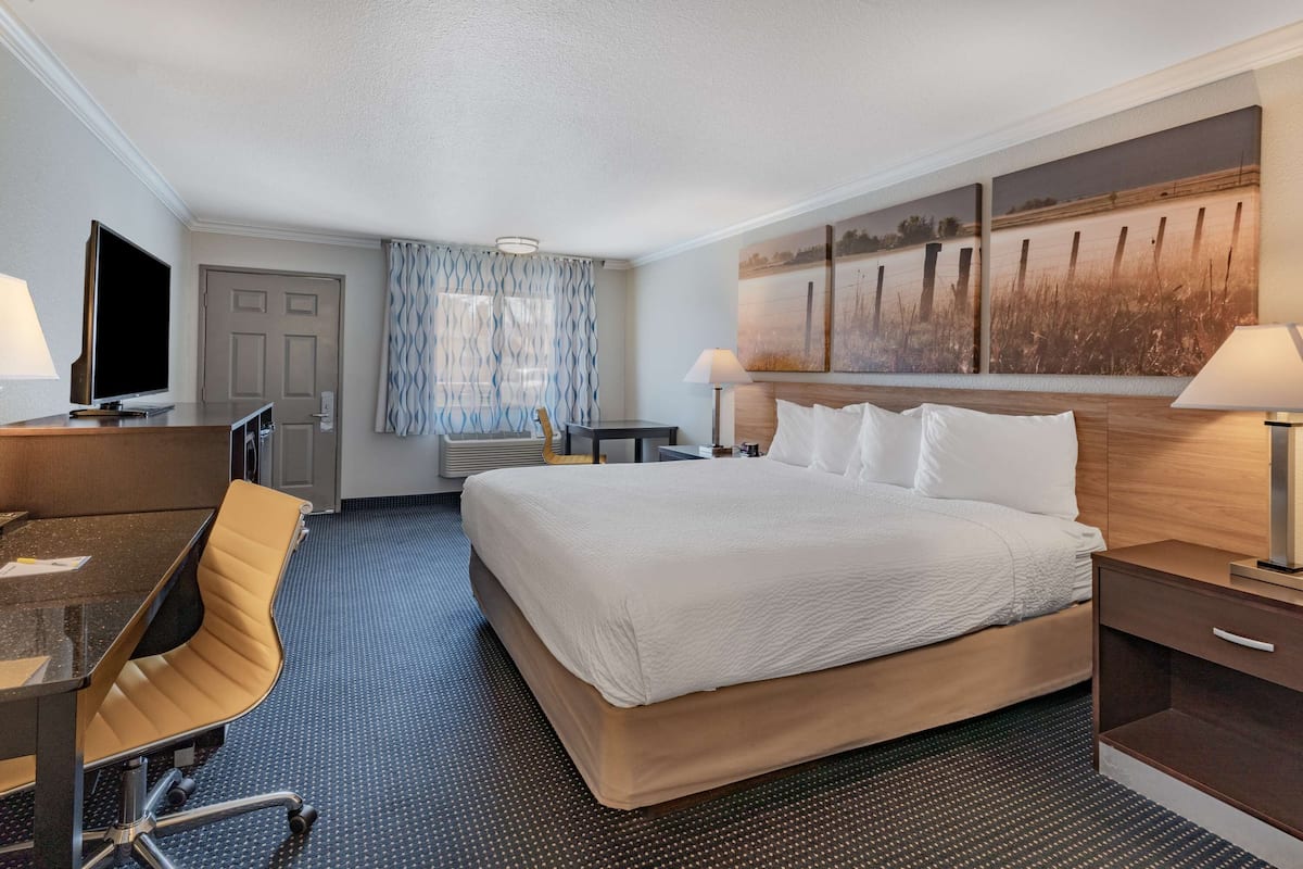 A hotel room with a large bed, a desk with a chair, a flat-screen TV, a window with patterned curtains, and a painting on the wall.