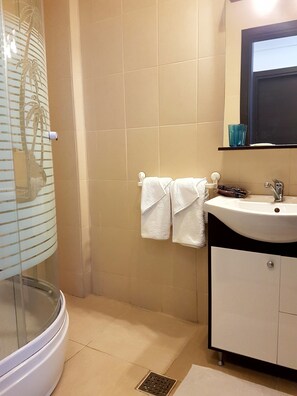 Superior appartement | Badkamer met douche
