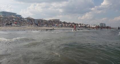 Apartment Summerland Mamaia