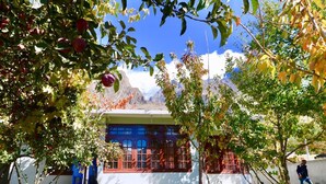 Exterior detail - Baltit Homestay Hunza (Karimabad)