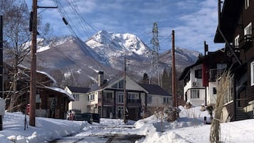 A snowy street with houses and a mountain in the background.