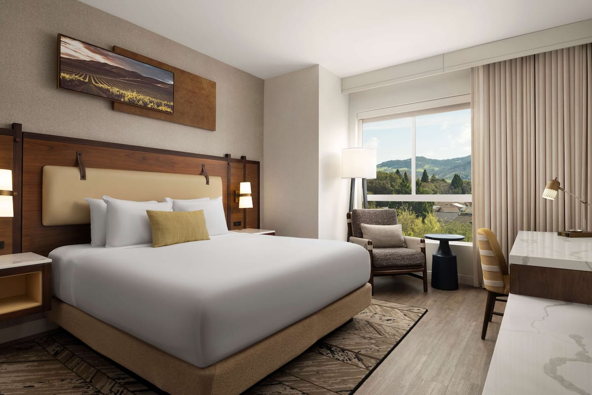 A hotel room with a large bed, a desk, a chair, and a view of the outdoors.