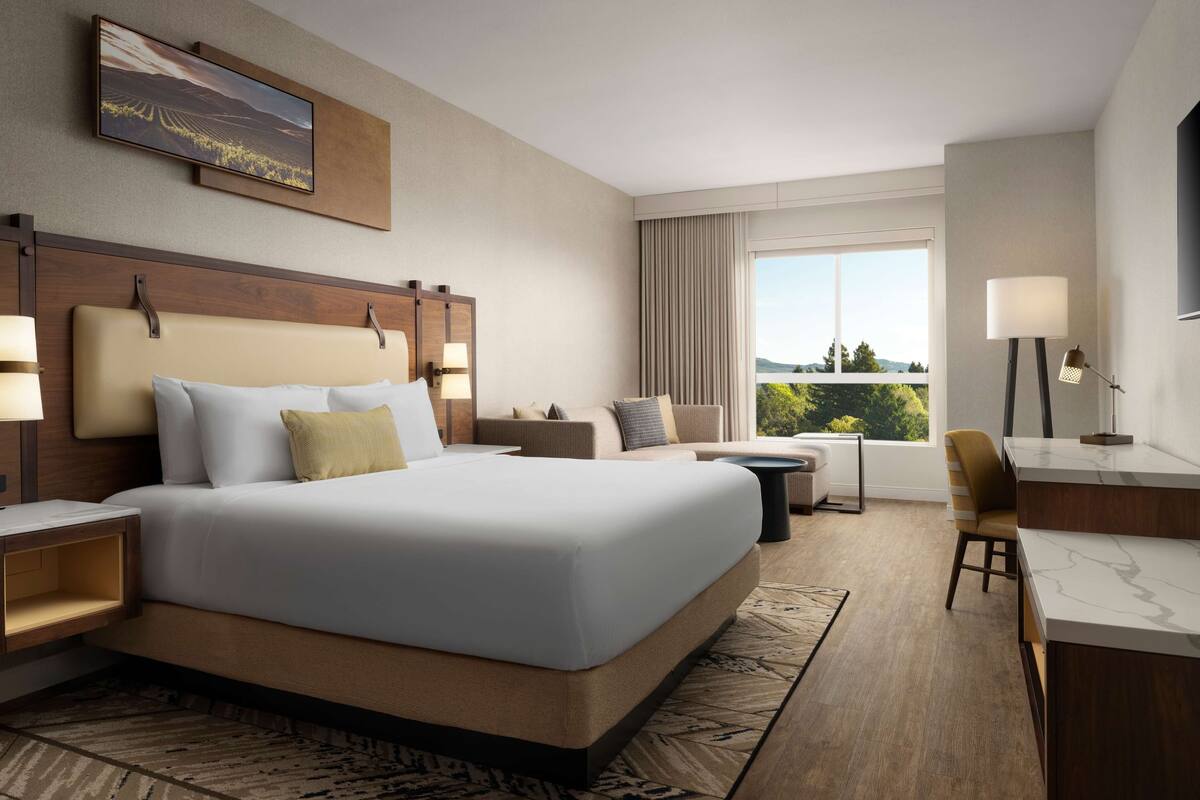 A hotel room with a large bed, a desk, a chair, a sofa, a TV, and a window with a view of the outdoors.