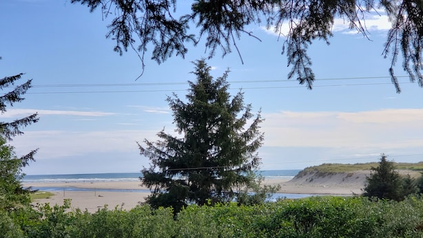 Un paysage côtier avec une végétation luxuriante au premier plan, un grand arbre à feuilles persistantes et, au loin, une plage avec un rivage sablonneux et de douces vagues.