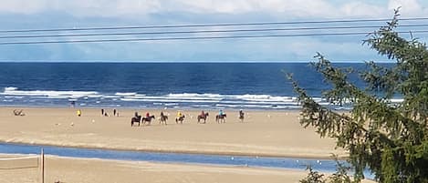 靠近海滩、沙滩椅、沙滩毛巾