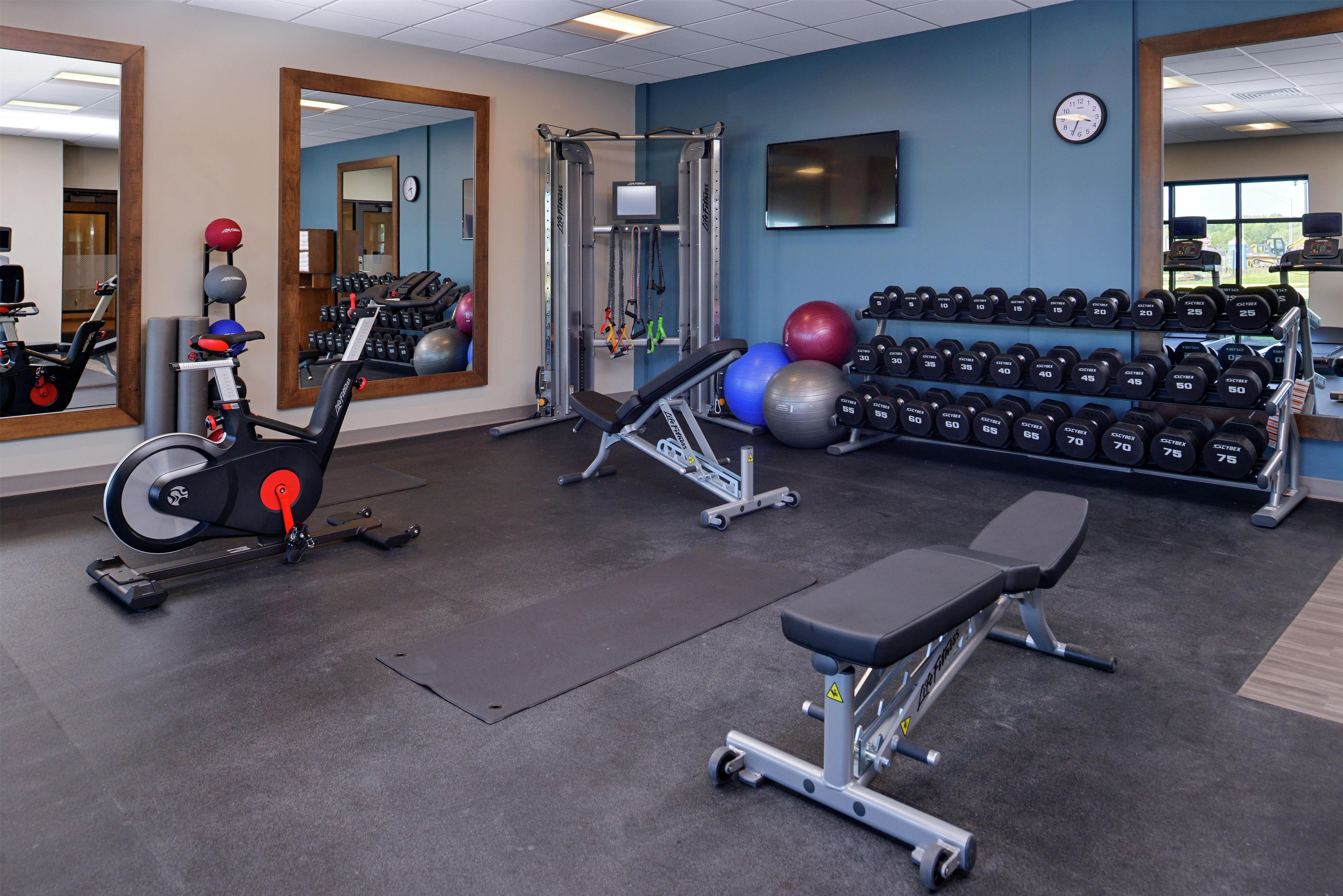 A gym with exercise equipment, a bench, and a wall-mounted dumbbell rack.