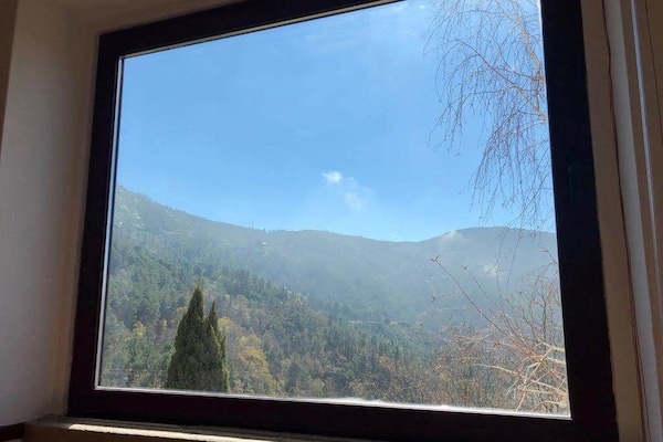 Family Room, Mountain View | View from room