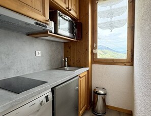 A compact kitchen with a Bosch dishwasher, a microwave, and a sink. - Cristallin 34 - Charming 2-room apartment (LES AVANCHERS VALMOREL)
