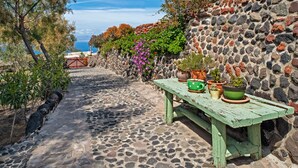 Un chemin de pierres menant à un banc rustique agrémenté de plantes en pot.