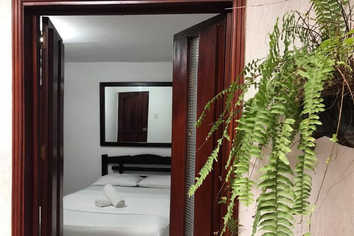 A hotel room with a bed, a mirror on the wall, and a potted plant.
