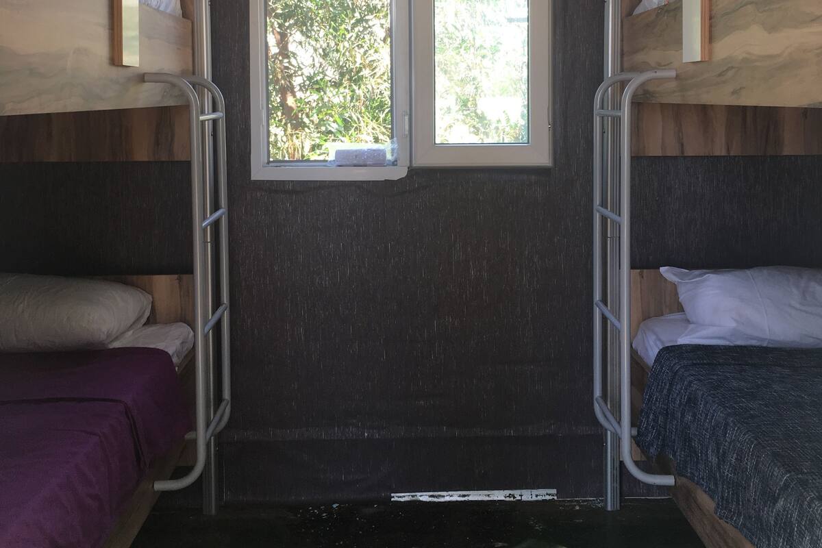 Shared Dormitory, Mixed Dorm, Shared Bathroom