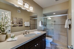 Shower, hair dryer, towels, soap - Quiet Stunning Catalina Views!  (Tucson)