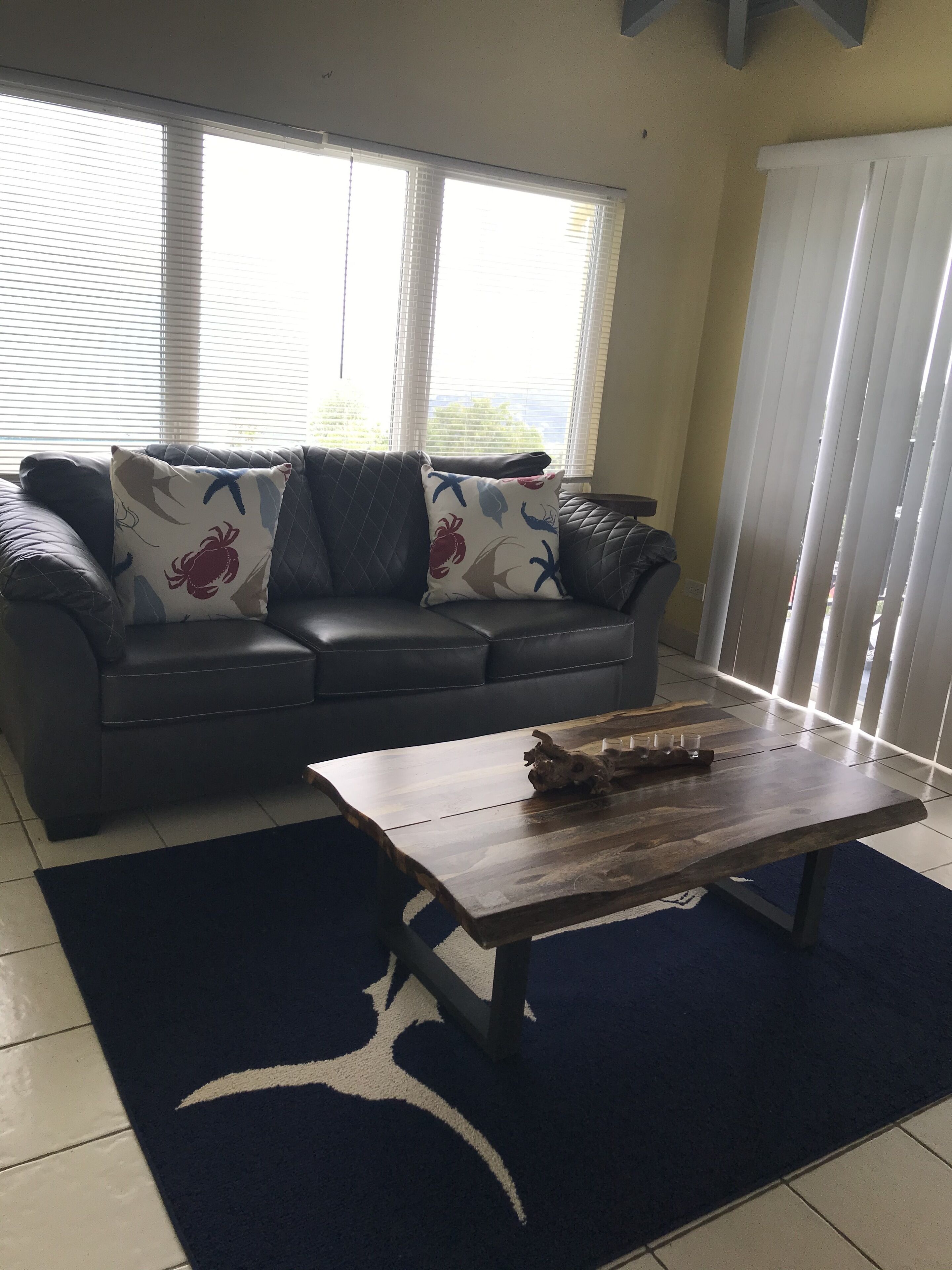 A living room with a dark leather sofa, two patterned pillows, a wooden coffee table, and a blue rug.