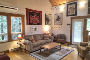 TV, DVD player, books, video library