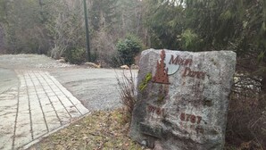 Uklassifisert bilde, 5 av 61, knapp