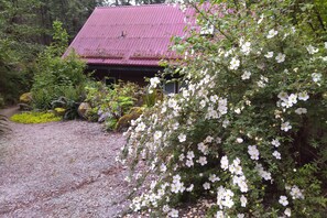 Property grounds - Waterfront Classic Cabin -  Romantic Seclusion! (Madeira Park)