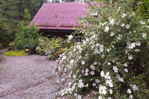 Property grounds - Waterfront Classic Cabin -  Romantic Seclusion! (Madeira Park)