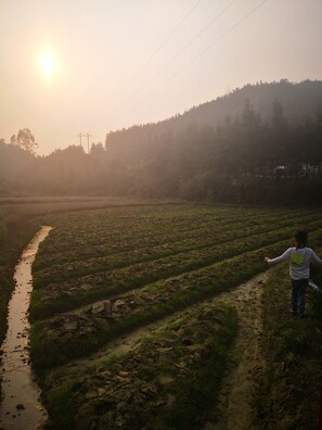 숙박 시설 구내