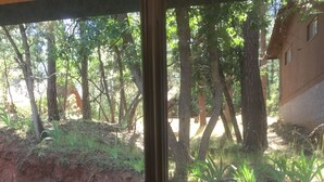 Vista desde una ventana a un área boscosa con un sendero de tierra, estructuras de madera y un edificio al fondo.