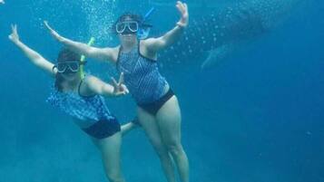 Dos personas haciendo snorkel bajo el agua.