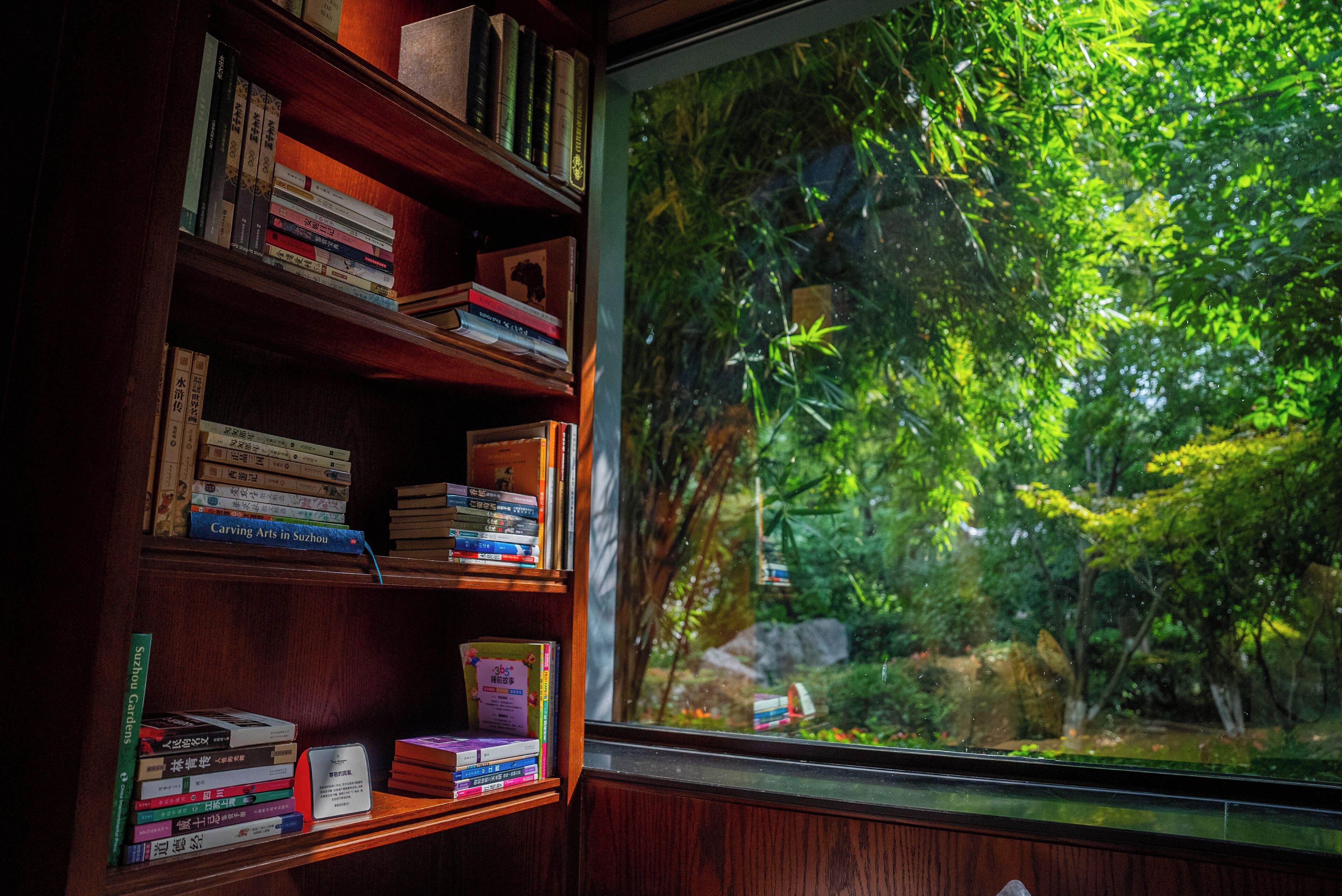 Une bibliothèque remplie de livres, avec vue sur un jardin luxuriant par la fenêtre.