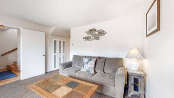 Télévision, lecteur de DVD, chaßne hi-fi