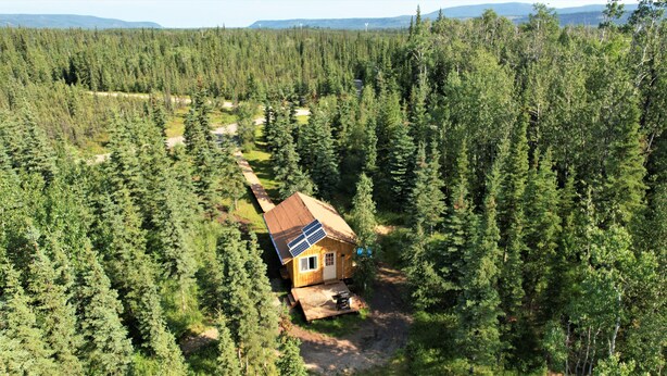 A cabin surrounded by dense forest with a clear path leading to it. - Sweet Seclusion Cabin with Shower (Healy)