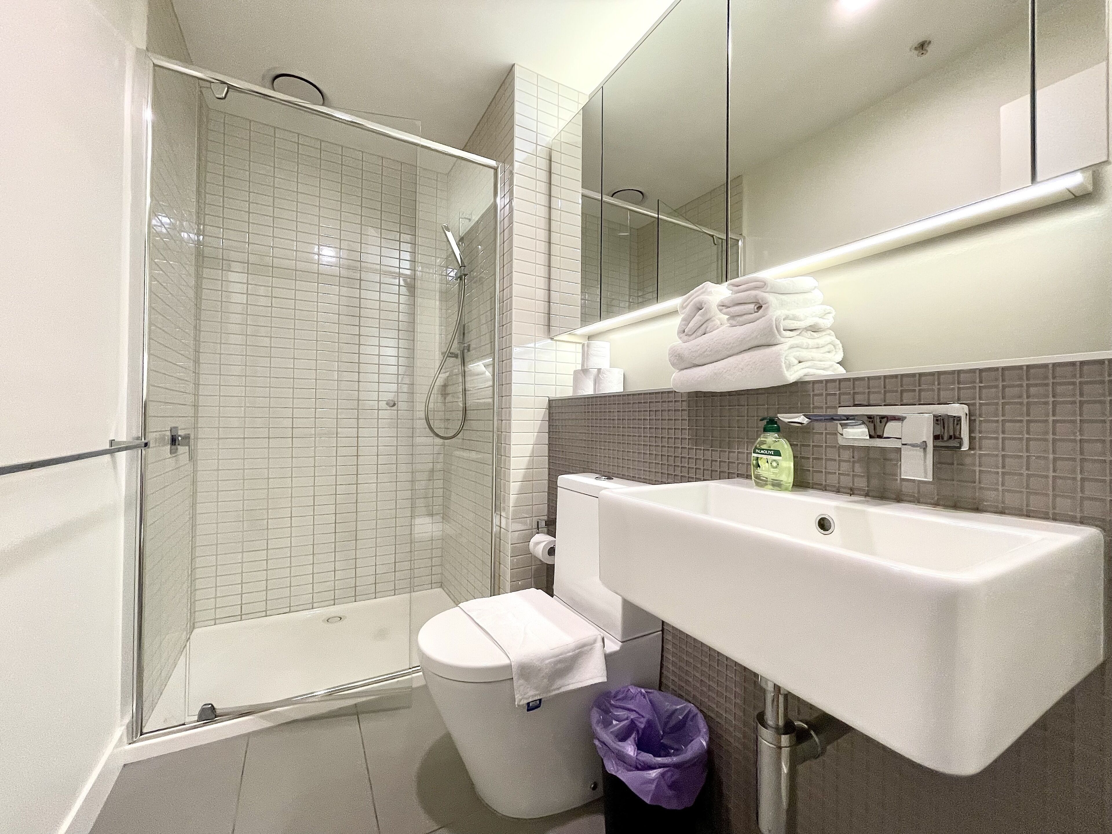 A modern bathroom with a glass-enclosed shower, a white sink, and a mirror above it.