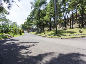 A paved road flanked by trees and a stone wall, leading to a building with a sign. - OYO 883 Pavo Resort (Citaringgul)