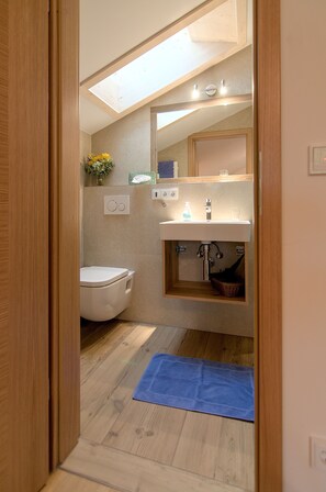 Ducha, secador de pelo y toallas