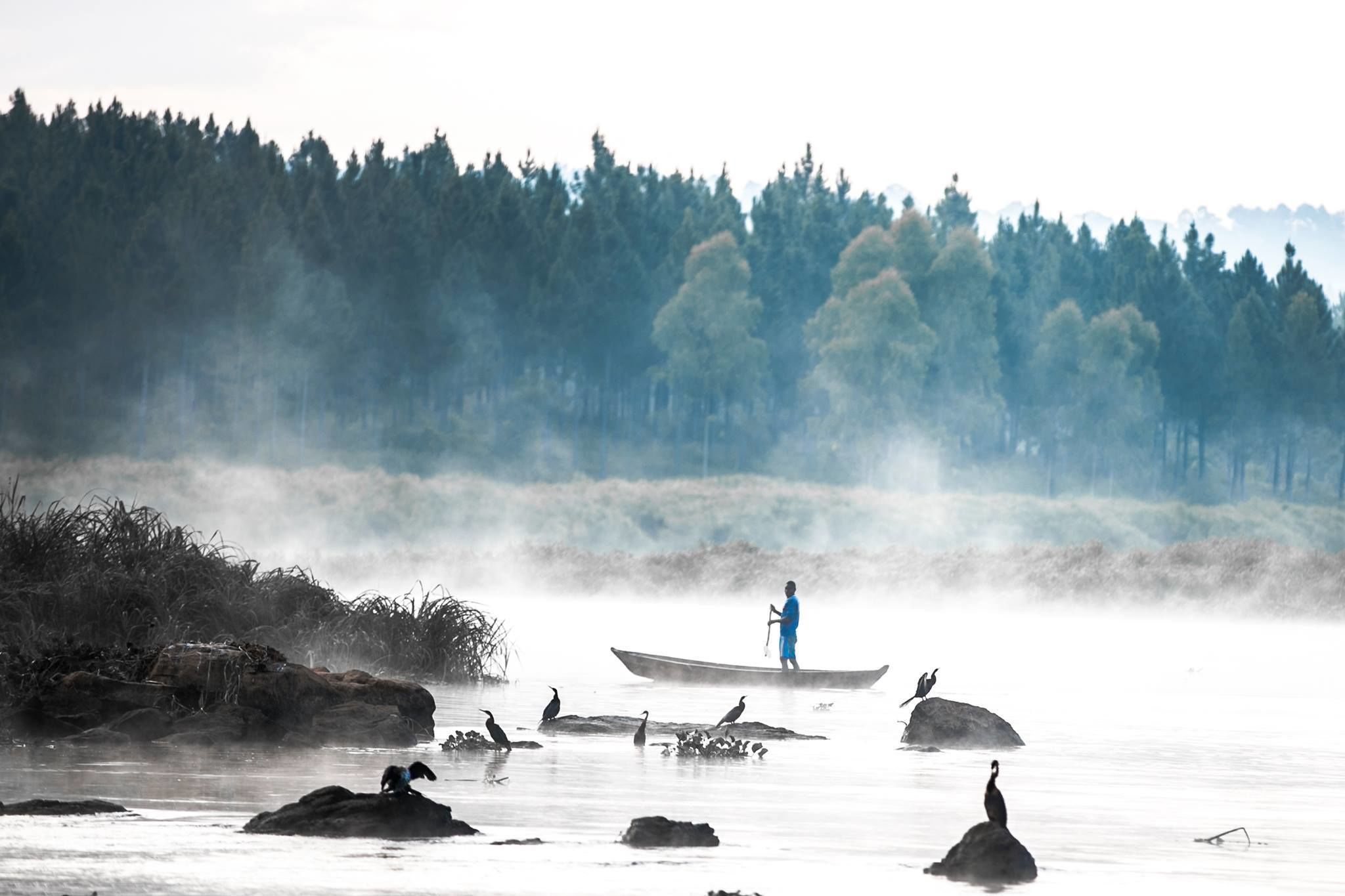 A misty lake with a person in a boat and several birds on rocks.