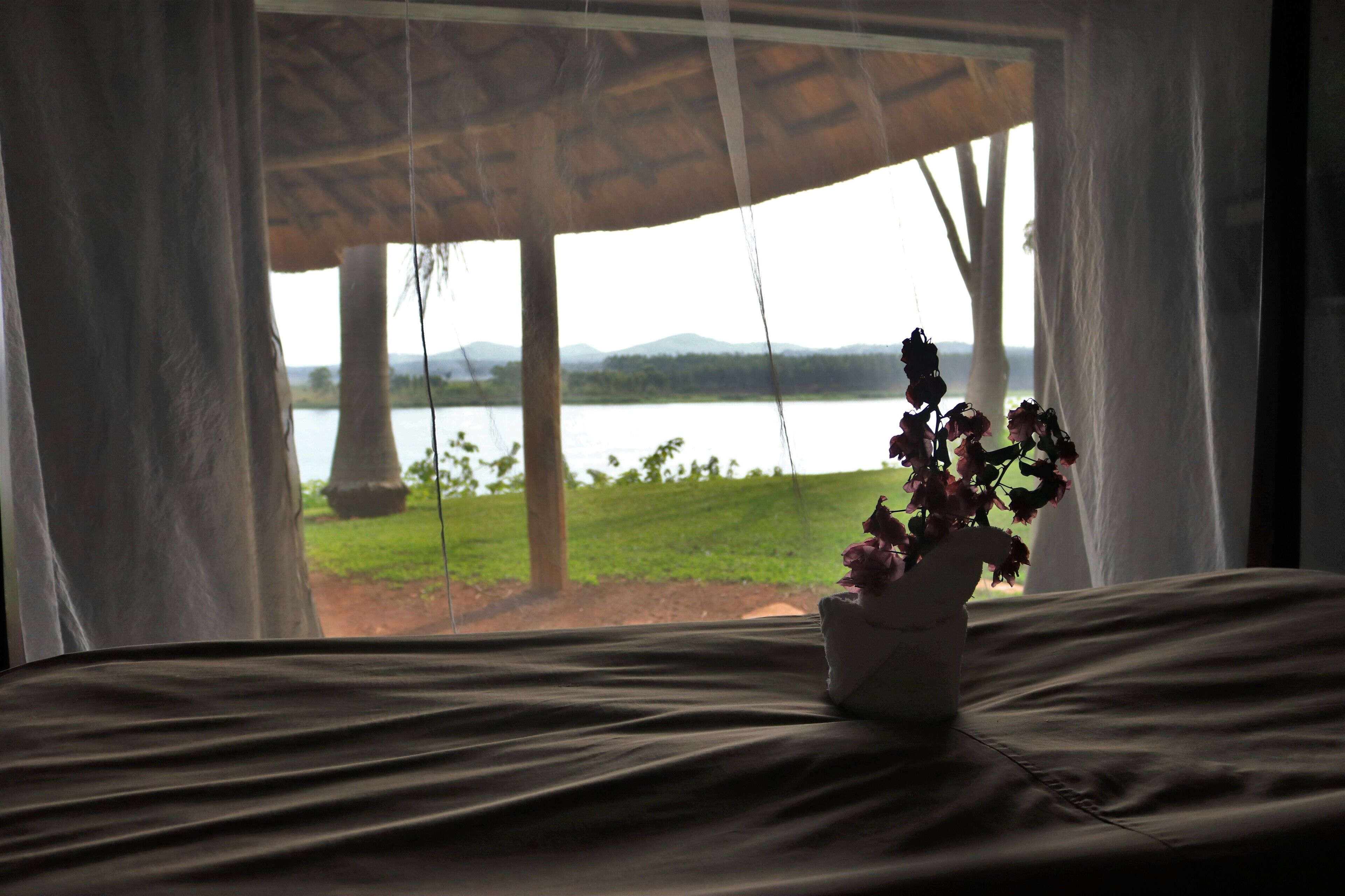 Family Bungalow | Hypo-allergenic bedding, blackout drapes, soundproofing, bed sheets