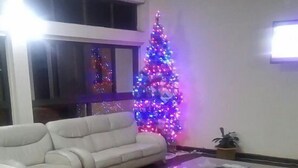 Un salon avec un canapé d’angle, une table basse en verre et un sapin de Noël décoré de guirlandes lumineuses colorées.