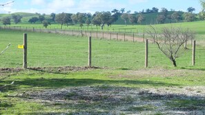 Comfort Cottage, 2 Bedrooms, Garden View | View from room - Yea Woodduck Cottage (Killingworth)