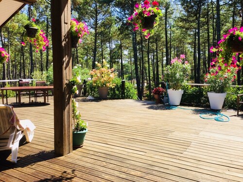 La Jenny Chalet with views of communal pool  in Naturist Village