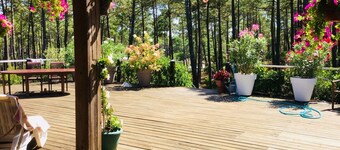 La Jenny Chalet with views of communal pool  in Naturist Village