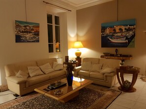 TV connectée, cheminée, lecteur de DVD, livres