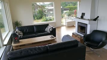 Una televisión, una chimenea