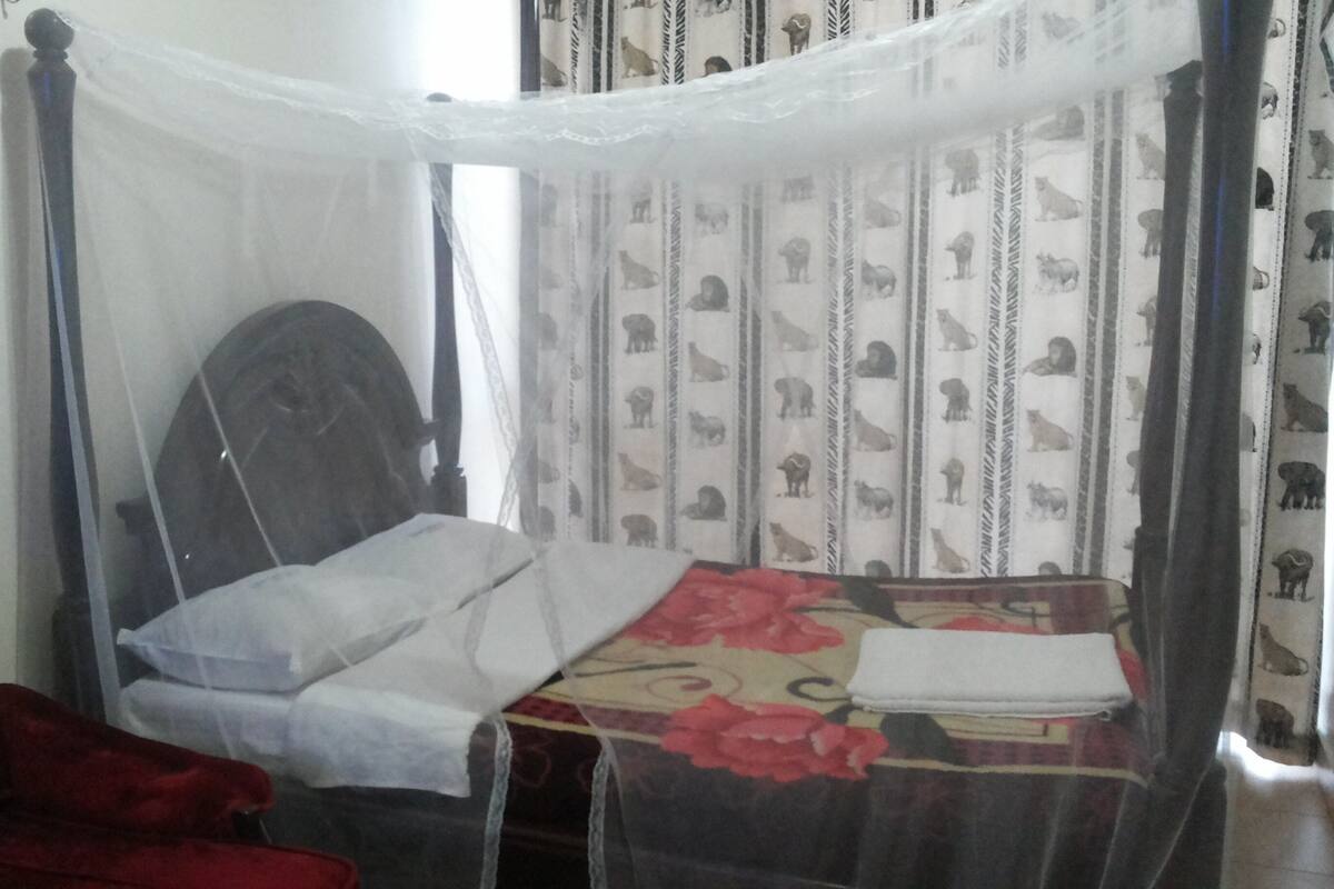 A room with a bed under a mosquito net, a chair, and curtains with animal prints.