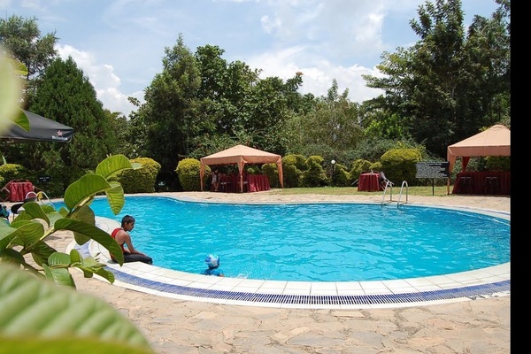 Outdoor pool, sun loungers