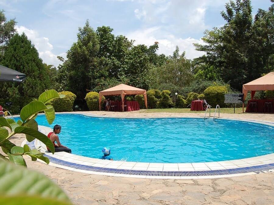 Outdoor pool, pool loungers