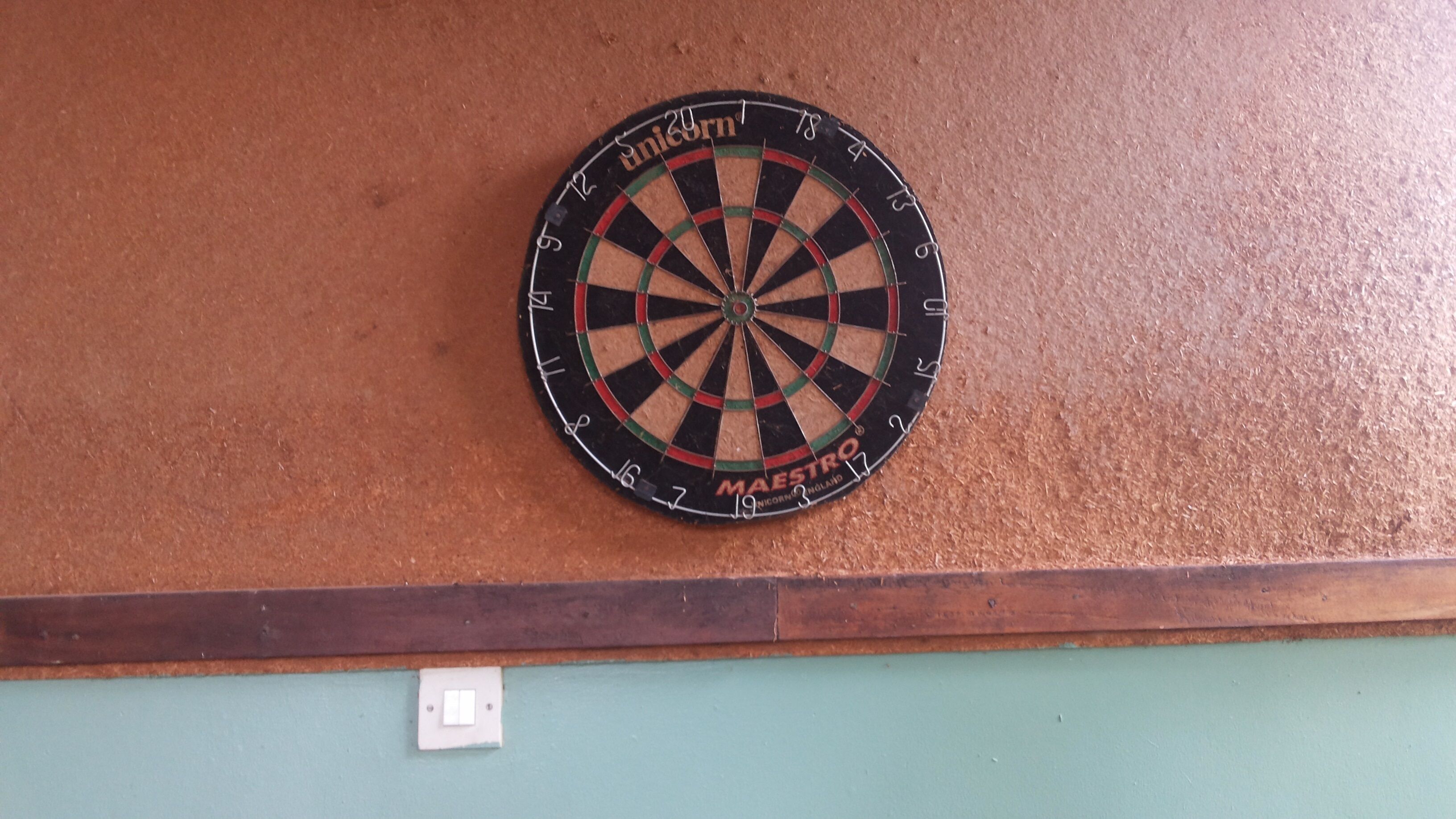 A dartboard mounted on a wall with a light switch below it.