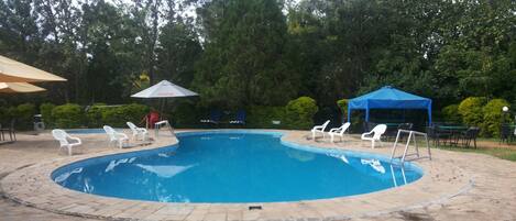 Outdoor pool, sun loungers