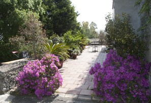Property grounds - BUGANVILLEA B&B room in a suggestive 19th century villa on the slopes of Etna (Trecastagni)