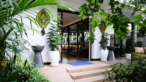 Un espace d’accueil avec un tapis bleu, des plantes en pot et un escalier menant à l’intérieur du bâtiment.