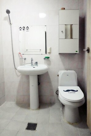 Shower, hair dryer, towels, shampoo