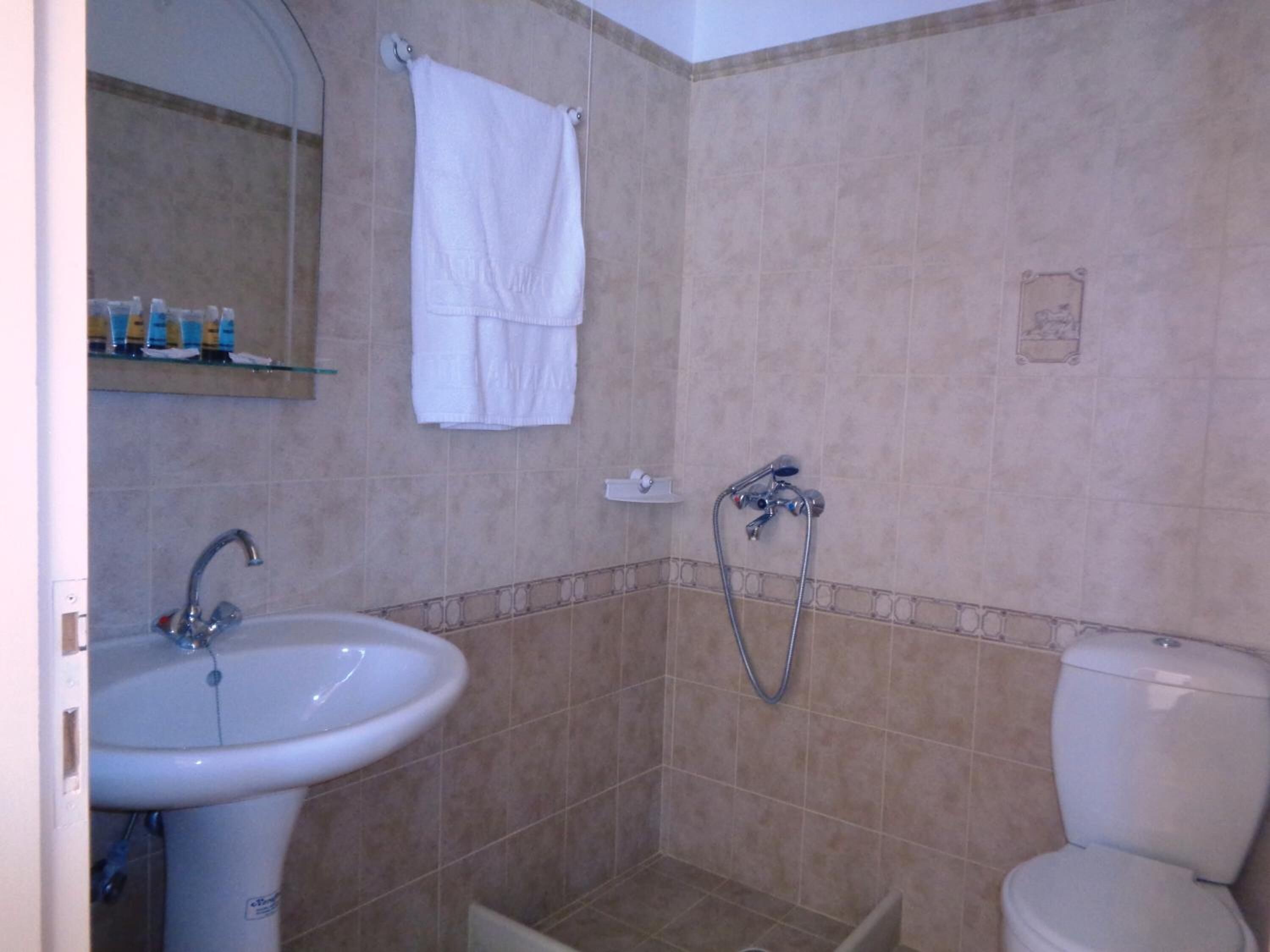 A bathroom with a sink, a toilet, and a shower.